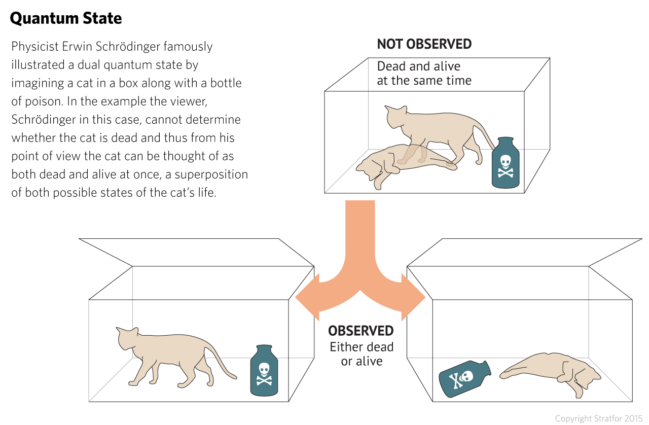 Physicist Erwin Schrödinger famously illustrated a dual quantum state by imagining a cat in a box with a bottle of poison. From outside the box, the viewer cannot determine whether the cat is dead and can thus think of the cat as at once dead and alive, a superposition of both possible states of the cat's life.