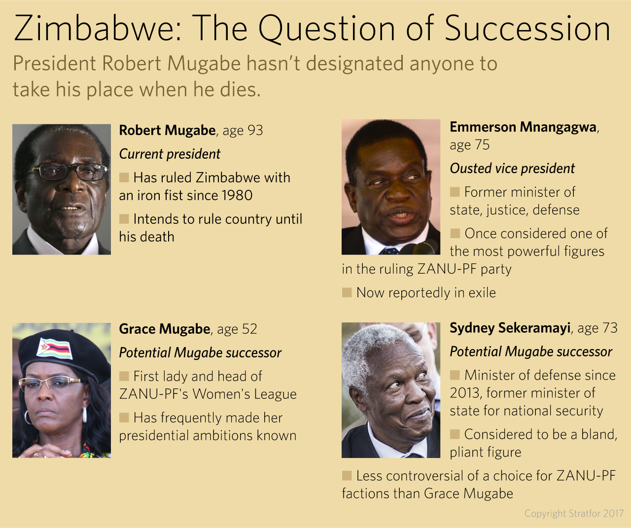 Zimbabwe: The question of succession