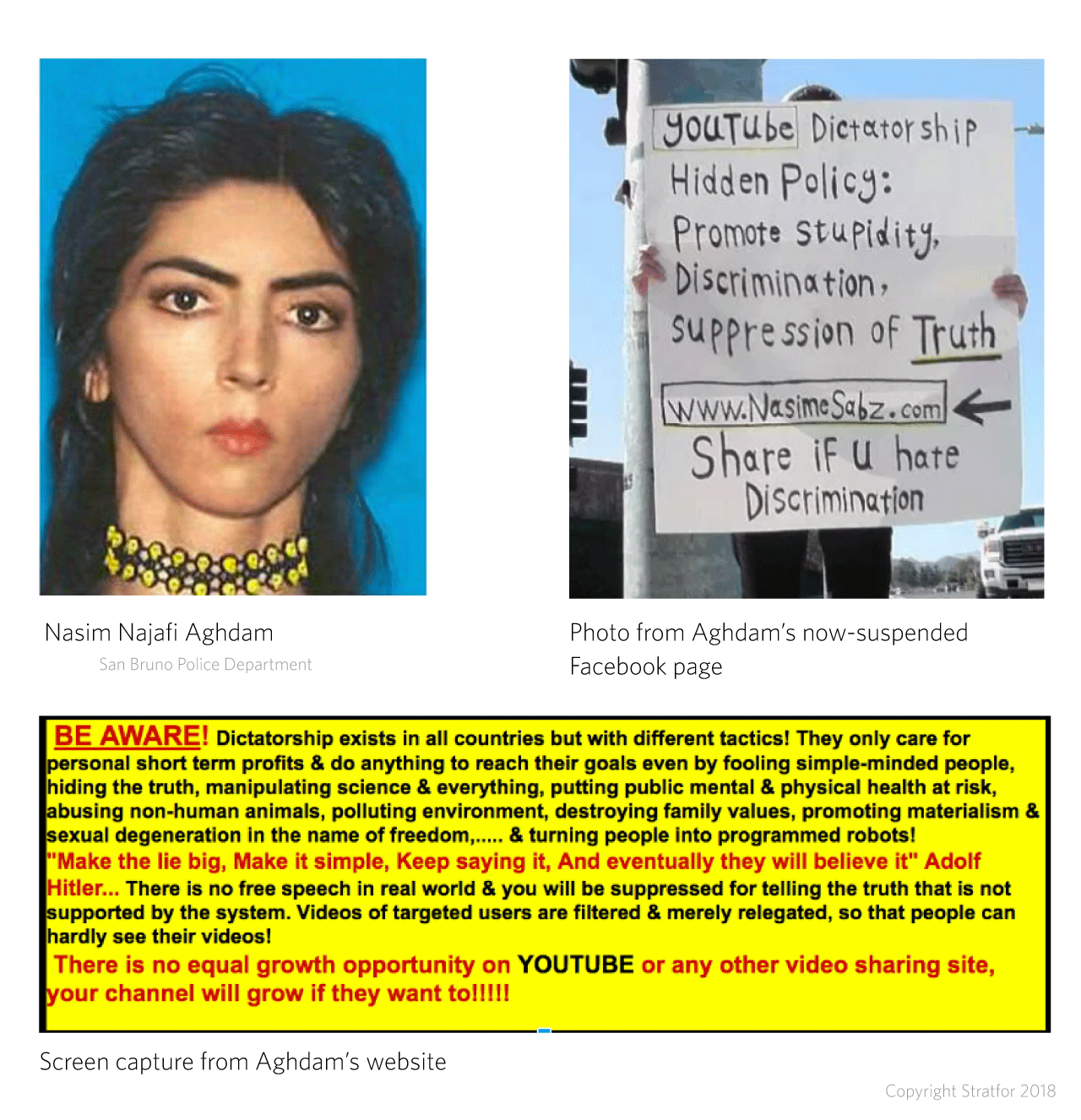 YouTube Shooter Infobox