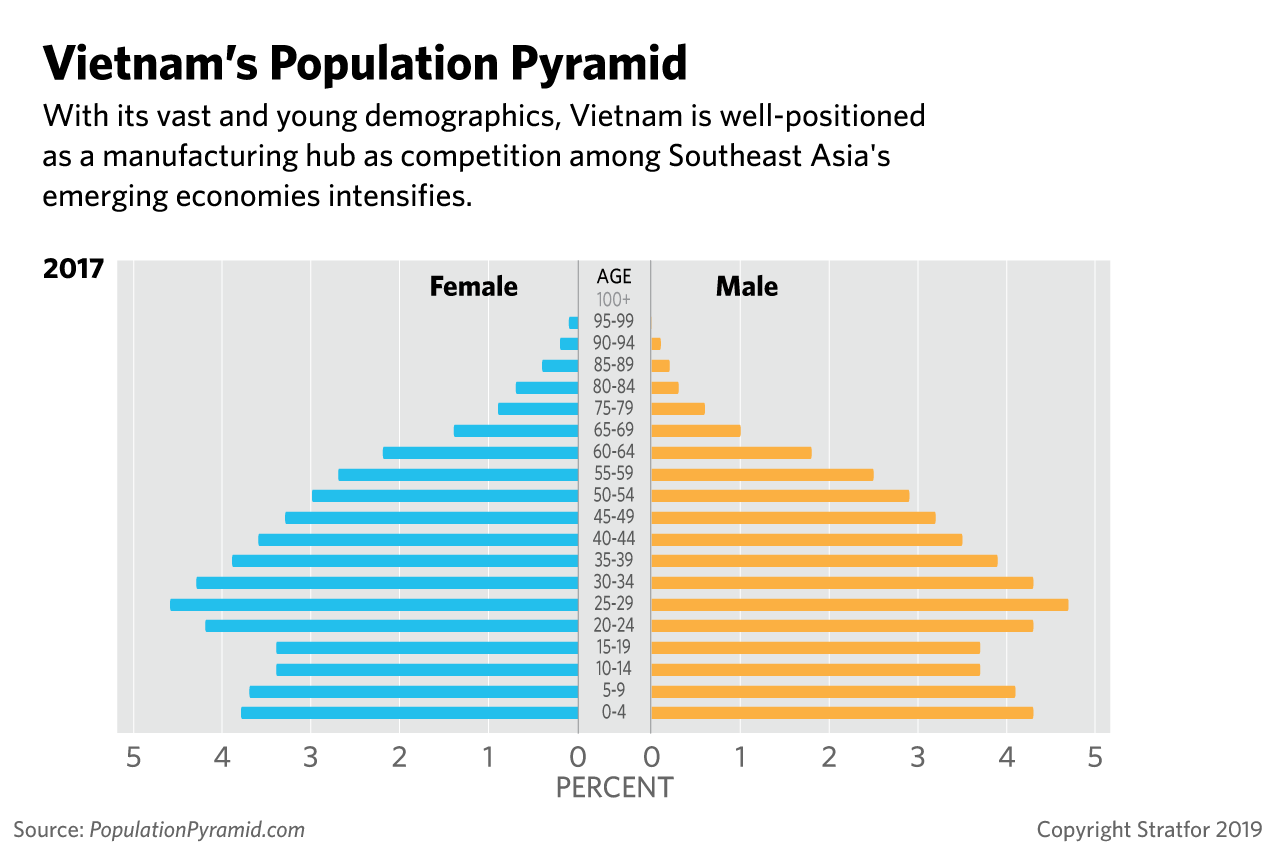 A chart showing the percentage of Vietnam's population by age.