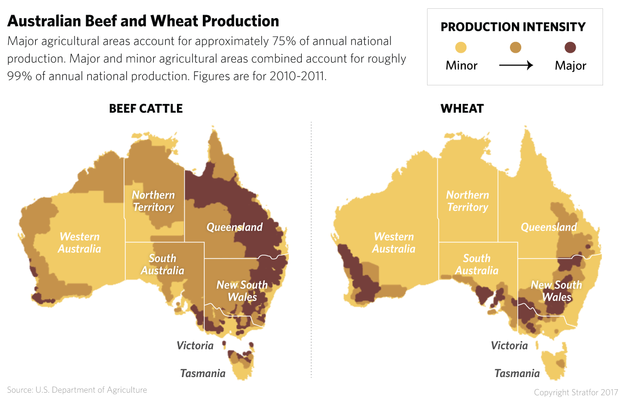 Beef and Wheat Production