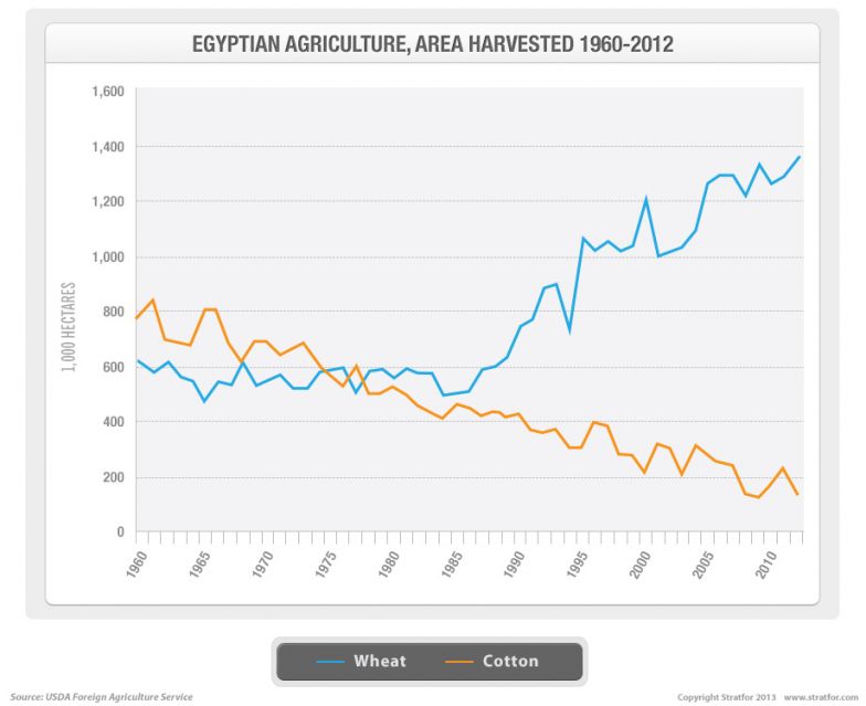 Egyptian Agriculture, Area Harvested 1960-2012