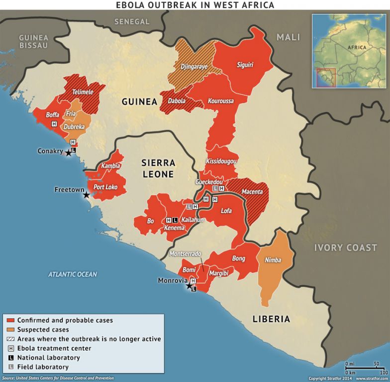 Impact of Ebola Outbreak in West Africa Remains Constrained